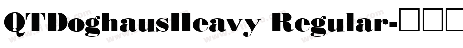 QTDoghausHeavy Regular字体转换